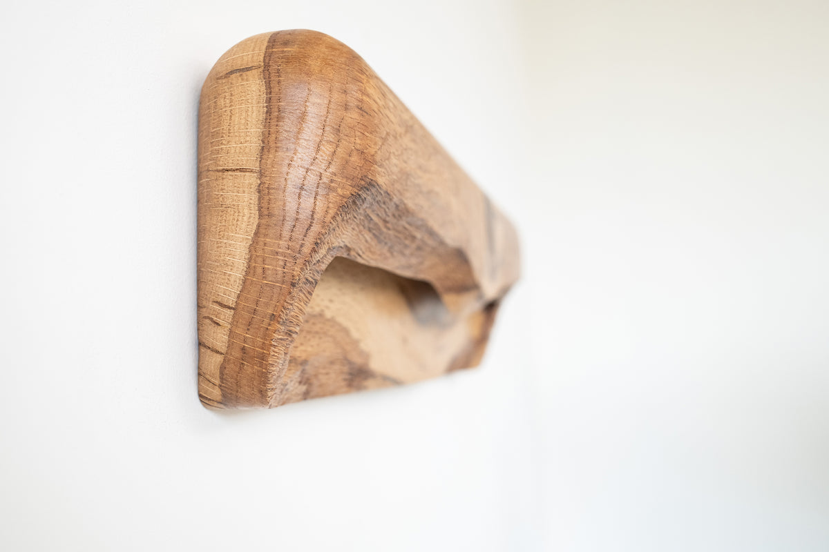 Wall light DRUID