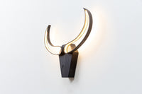 Bull skull