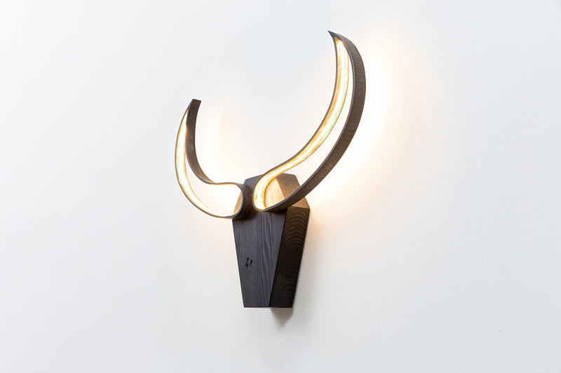 Bull skull