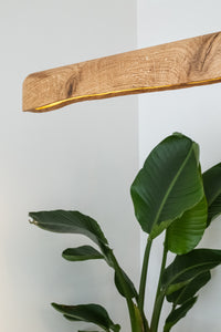 DRUID Wabi Sabi 71" (180 cm)