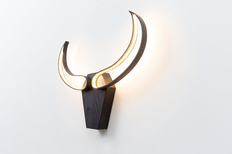 Bull skull
