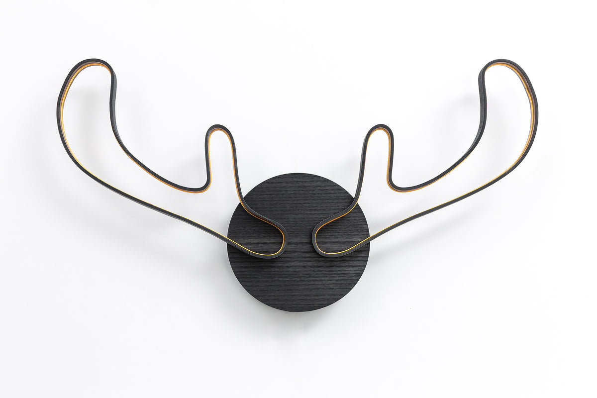 HORNS