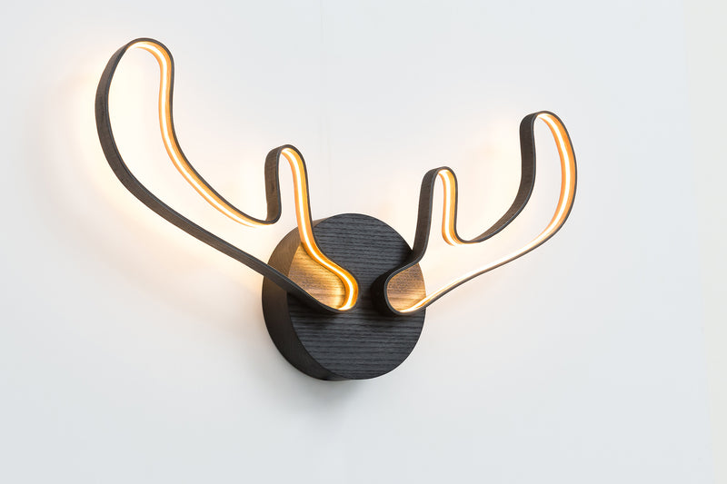 HORNS