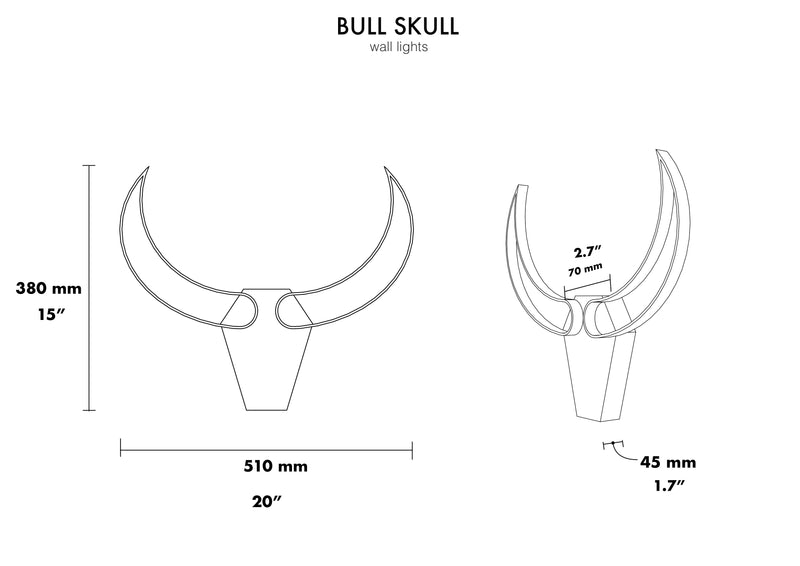 Bull skull