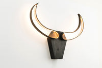 Bull skull