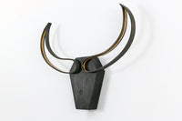 Bull skull