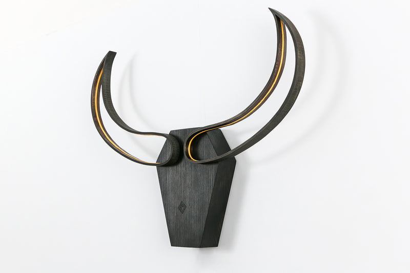 Bull skull